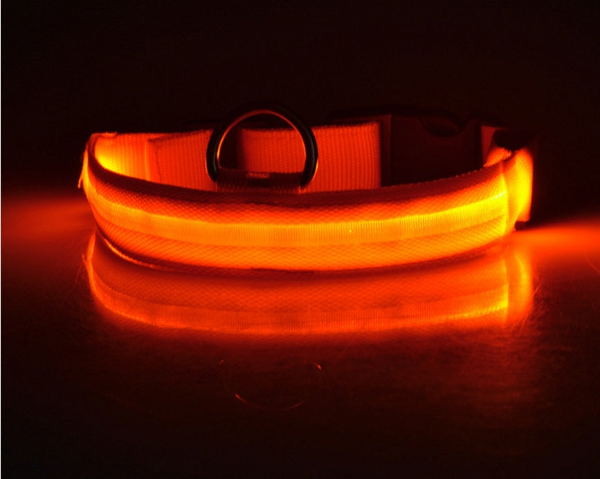 Sainishops™Nylon LED Pet Dog Luminous Collar Night Safety Flashing