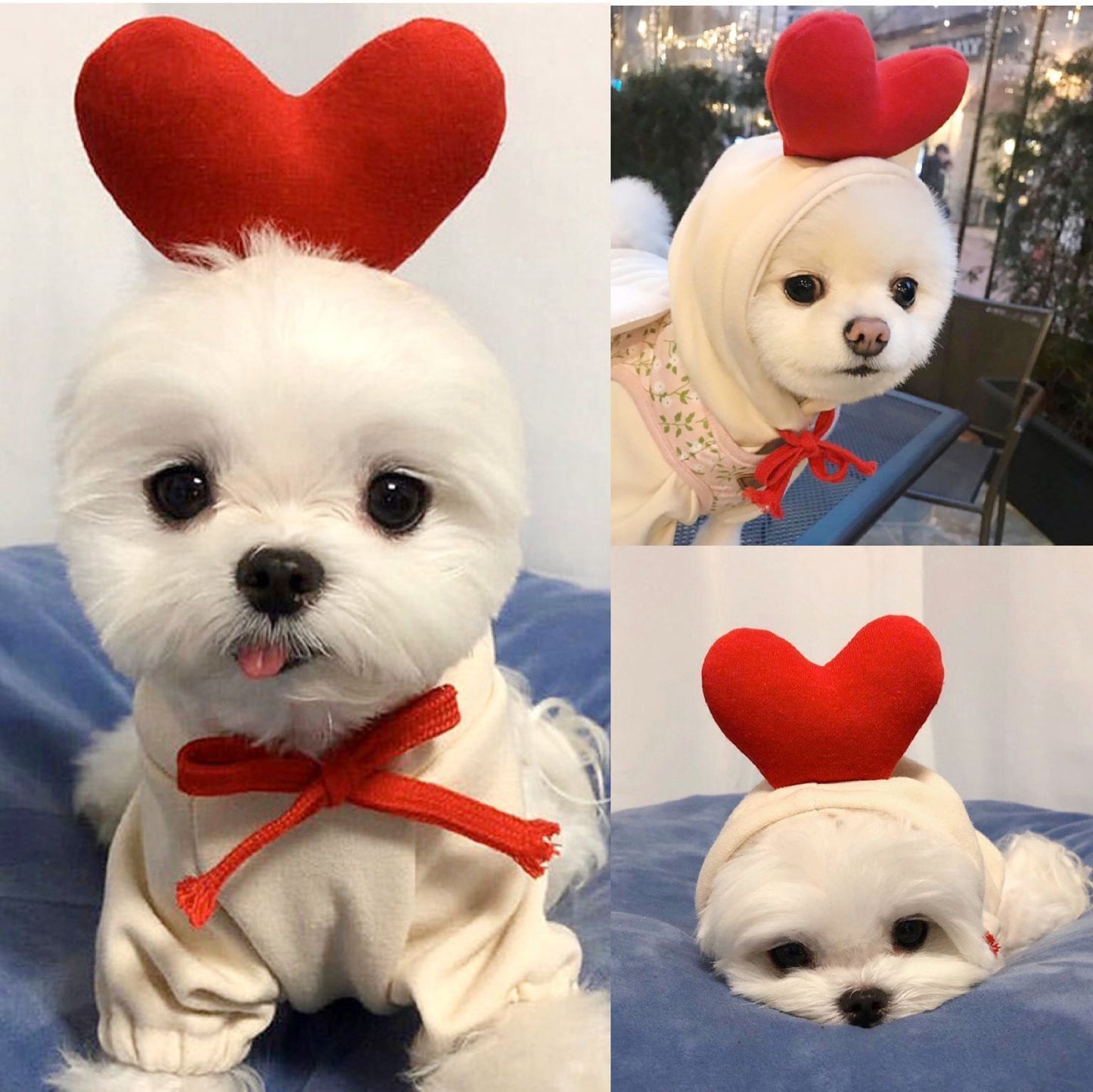Sainishops™Cute Fruit Dog Hoodie Winter Warm Fleece Pet Clothes