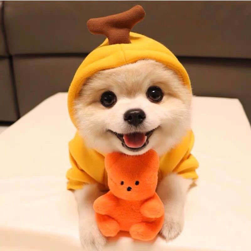 Sainishops™Cute Fruit Dog Hoodie Winter Warm Fleece Pet Clothes