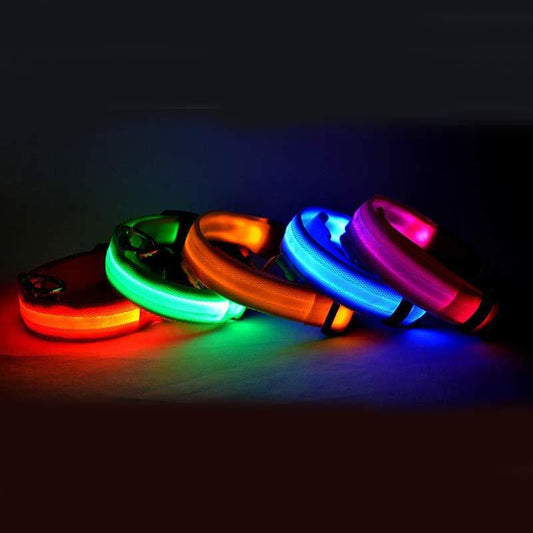 Sainishops™Nylon LED Pet Dog Luminous Collar Night Safety Flashing