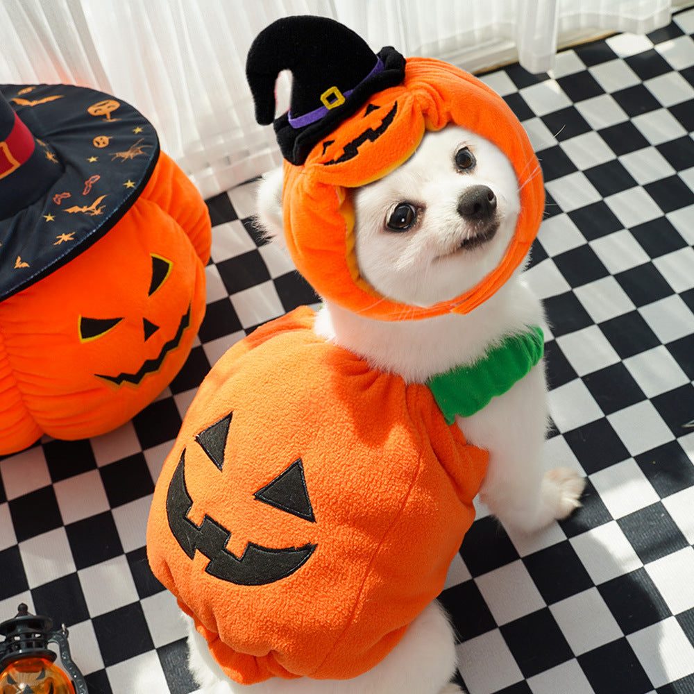Sainishops™Halloween Pumpkin Vest For Dogs Cats Festive Pet
